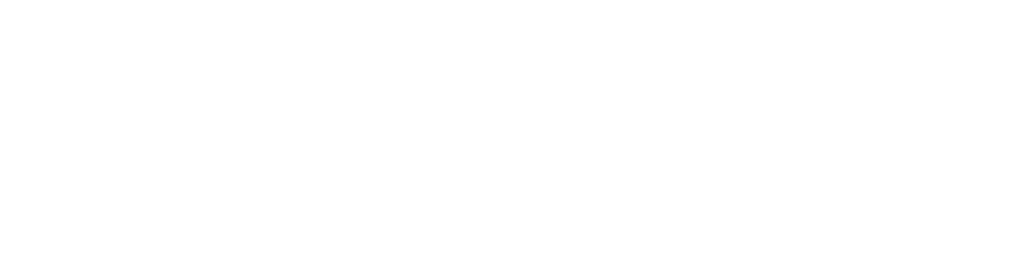Logomarca da empresa Dizy
